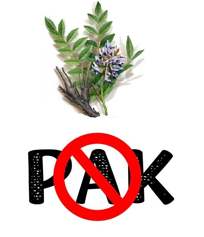 солодка рак